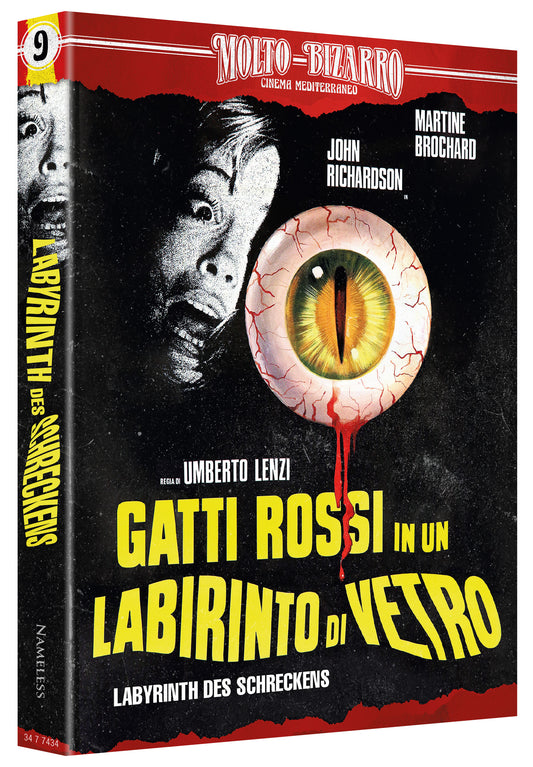 LABYRINTH DES SCHRECKENS - MEDIABOOK - COVER A - BD/DVD